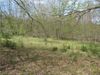438 Hope Valley Rd photo